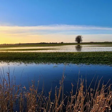 Sonja 公寓 Westerende (Cuxhaven)