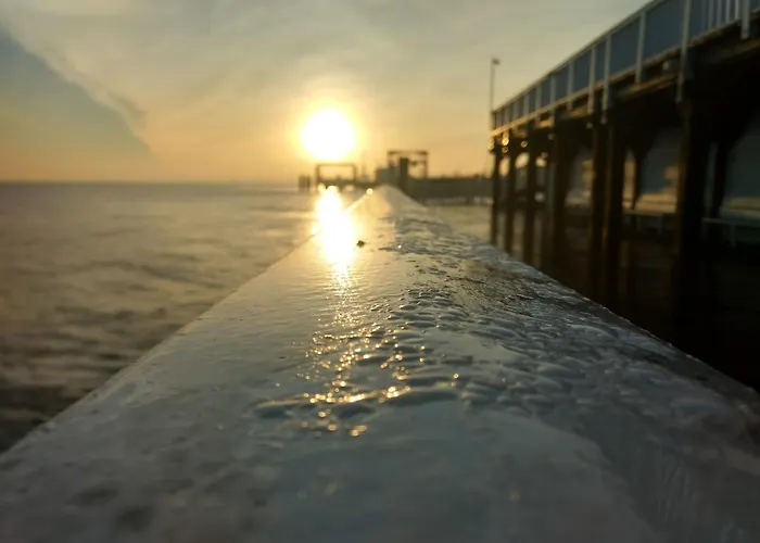 Sonja Westerende (Cuxhaven)