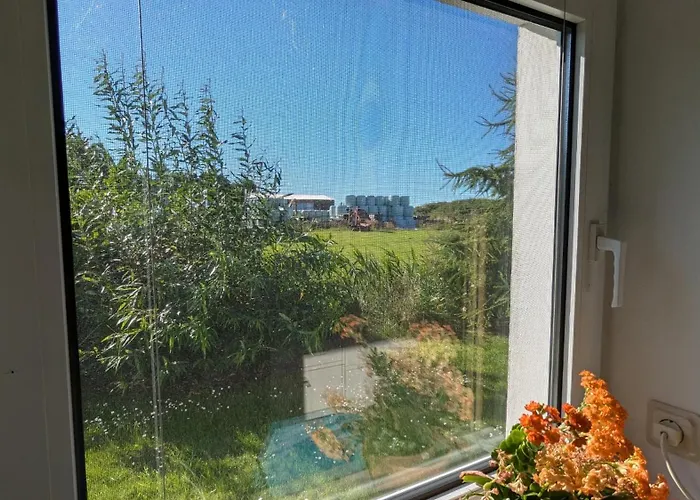 Sonja Westerende (Cuxhaven)